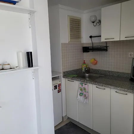 Botanik Garden דלמן